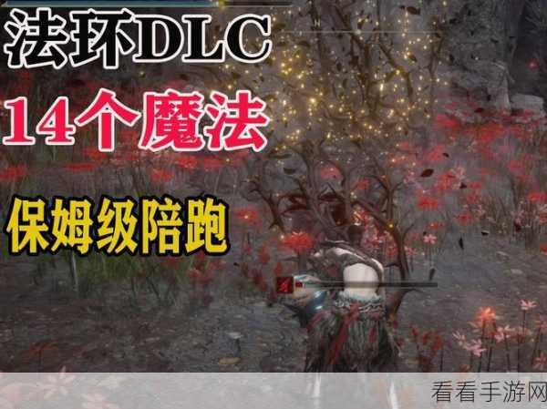 艾尔登法环，DLC 中蕾菈娜的双月获取秘籍大公开