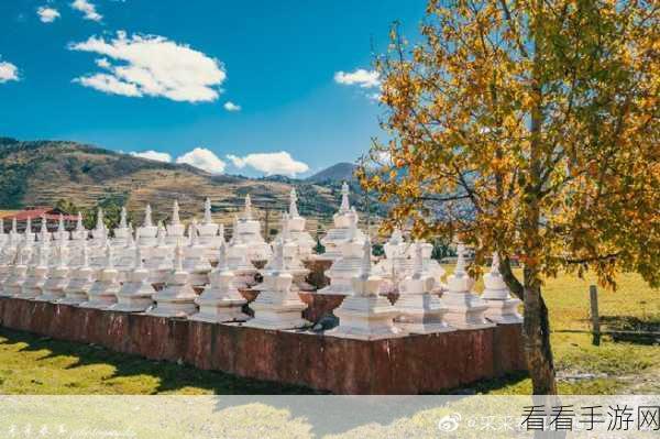 天龙手游藏宝阁深度探索，珍稀宝藏与神秘物品大揭秘