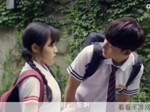光与夜之恋深度解析，全男主与女主情感纠葛关系图大揭秘