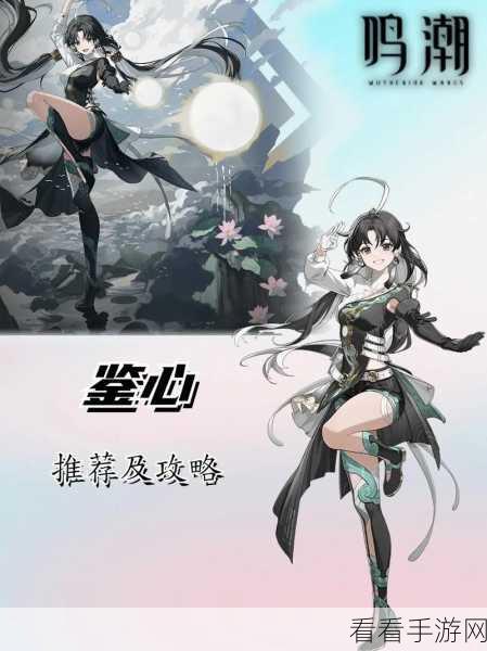 鸣潮安可，制霸战场的超强配队秘籍