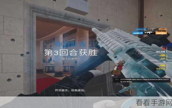 彩虹六号深度解析，团队协作与精准定位，制胜关键揭秘