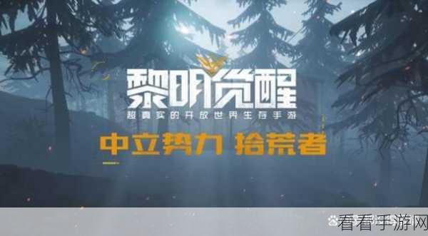 黎明觉醒，揭秘半成品策略，打造财富冒险之旅
