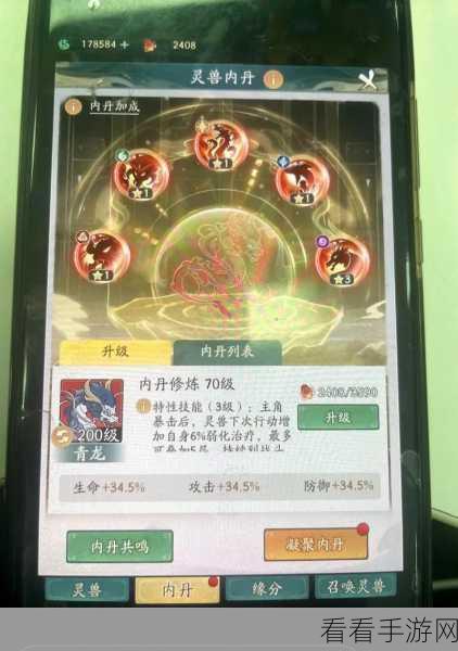 探秘寻道大千灵兽内丹，玩法全解析