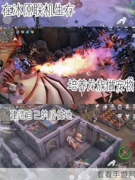 冰原守卫者，全面解析物品制作攻略，助你称霸雪域战场