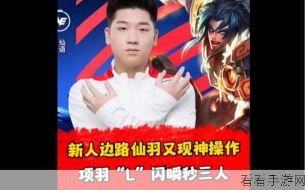 KPL赛场英雄闪耀，项羽神级操作全解析，速来围观！