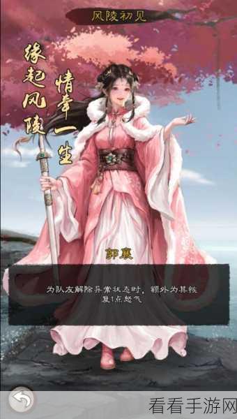 揭秘新倚天屠龙记测试服，深度玩法攻略与功法系统全览