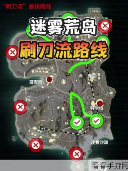 和平精英新地图迷雾岛深度探秘，战术布局与资源争夺全攻略