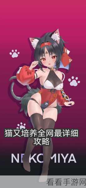绝区零高手进阶，揭秘无可挑剔成就完美攻略