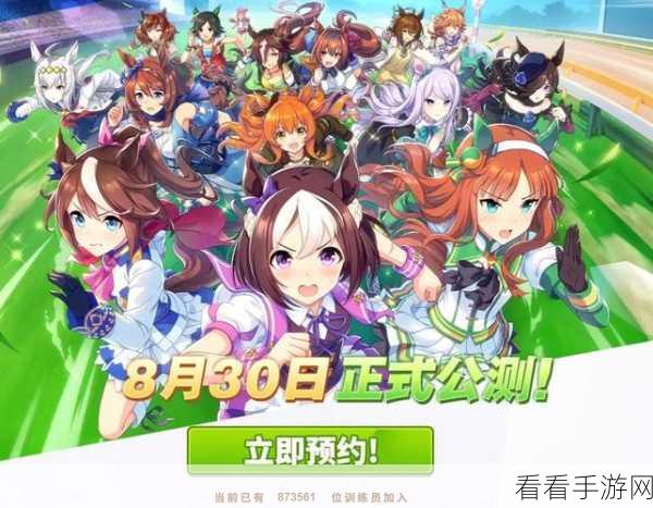 闪耀优俊少女，顶尖R卡马娘竞技推荐与赛事深度解析