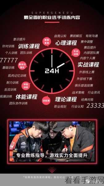 电竞职业技能证书通关秘籍，成就竞技梦想的黄金指南