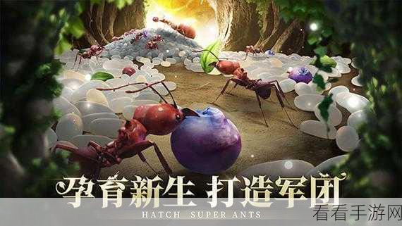揭秘小小蚁国共创赛，蚂蚁搬运食物的奇妙策略与竞技乐趣