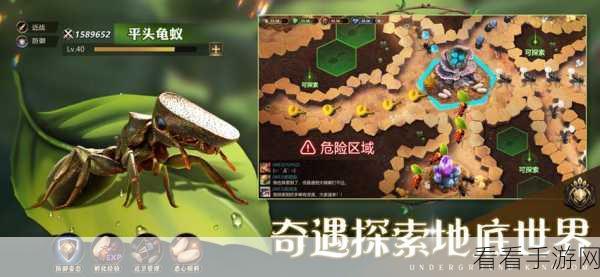 揭秘小小蚁国共创赛，蚂蚁搬运食物的奇妙策略与竞技乐趣