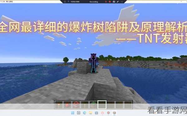 我的世界，树下 TNT 陷阱的精妙制作与震撼引爆秘籍