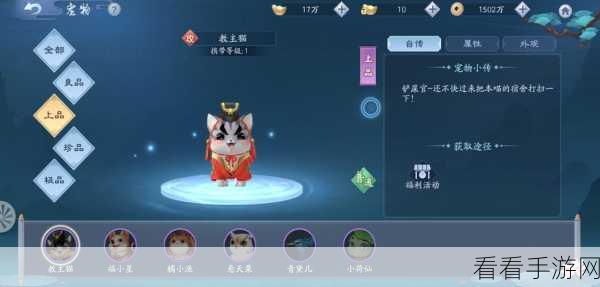 天仙月手游，顶尖宠物技能搭配攻略，打造无敌萌宠！