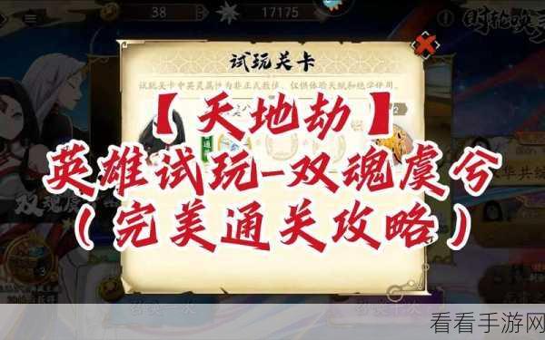 天地劫虞兮饰品搭配全攻略，解锁最强战力与绝美外观