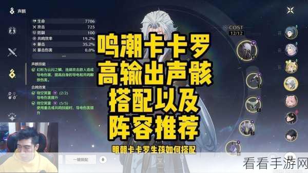 鸣潮卡卡罗副 C 声骸选择攻略