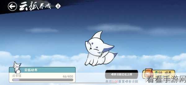 忍者萌剑传，法术破防流阵容致胜秘籍大揭秘