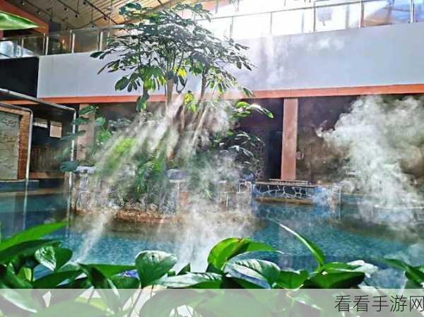 泡泡温泉手游深度攻略，解锁隐藏玩法，畅享极致乐趣