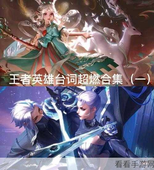 王者荣耀，天狼征服者英雄台词与语音深度剖析，赛场风采再现