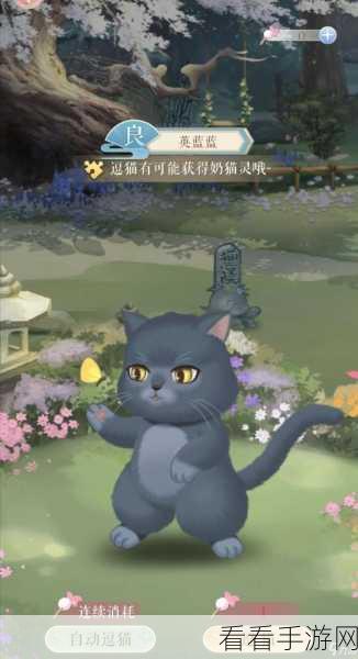 手游新攻略，解锁灵猫秘技，掌握高级逗猫棒获取与实战技巧