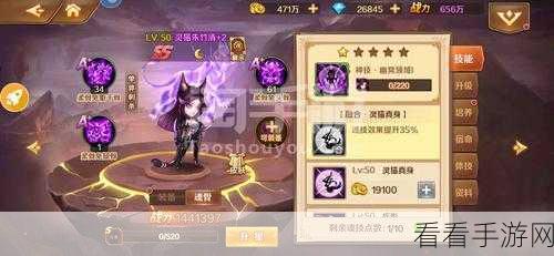 手游新攻略，解锁灵猫秘技，掌握高级逗猫棒获取与实战技巧
