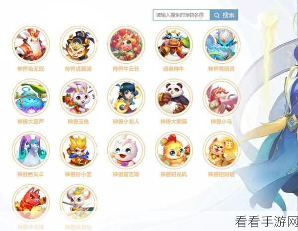 龙族幻想，揭秘宠物多样用途，打造专属冒险伙伴