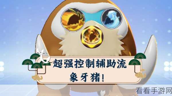 宝可梦大集结，象牙猪称霸赛场，顶级装备搭配全揭秘