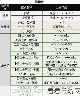 皇子技能神操作指南，赛场制胜秘籍大揭秘