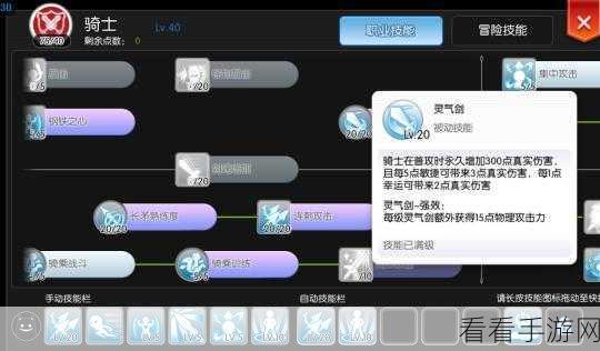 仙境传说RO，永恒之爱守护者弓箭手技能深度剖析与实战加点秘籍