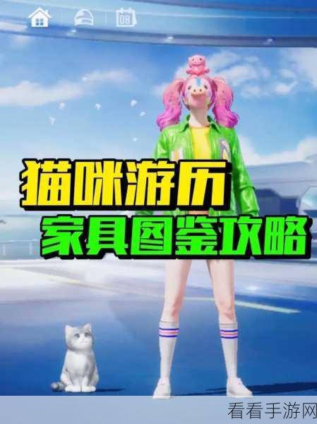 和平精英，严防偷猫的终极秘籍