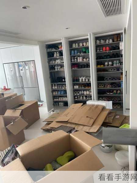 喵喵便利店收纳大师养成记，解锁从新手到高手的通关秘籍