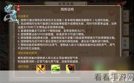 问道手游木系前期攻略，快速上手与高效成长秘籍