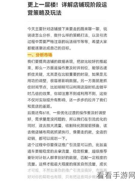 闪烁之光，风王开局制胜秘籍，深度剖析玩法策略与实战技巧