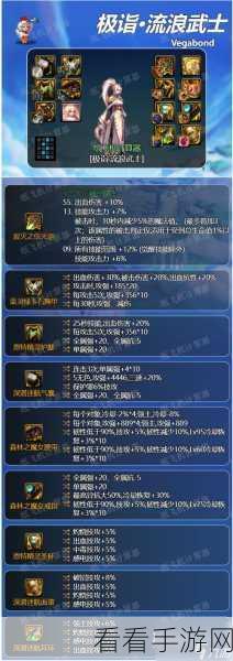 DNF 玩家必备，深度剖析胸甲词条，揭秘角色提升关键属性