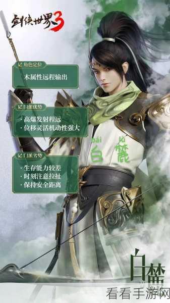 剑侠世界3测试服深度揭秘，策划面对面，玩家心声与未来优化蓝图