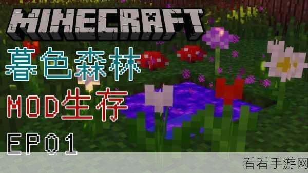 我的世界暮色森林 mod 下载秘籍，图文全解析
