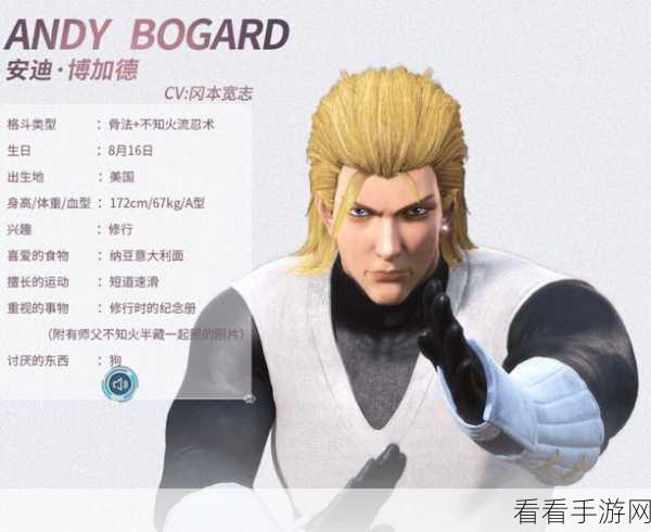 拳皇98终极之战OL，安迪·博加德深度剖析，格斗技巧与实战策略全揭秘