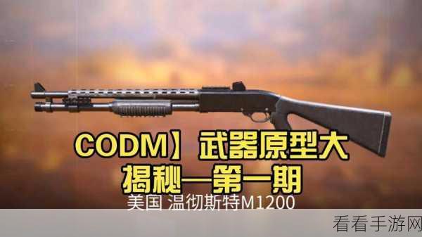 使命召唤限时精选模式深度剖析及畅玩绝招大揭秘