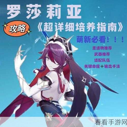 崩坏 3，罗莎莉亚装备搭配秘籍大揭秘