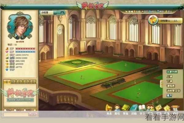 辐射4终极策略，揭秘最强阵容与阵营选择秘籍