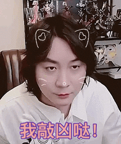 王者荣耀张大仙专属表情包口令码全攻略，解锁游戏新乐趣！