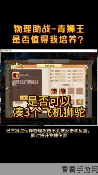梦幻西游手游，深度解析伙伴助战系统，实战攻略与价值揭秘