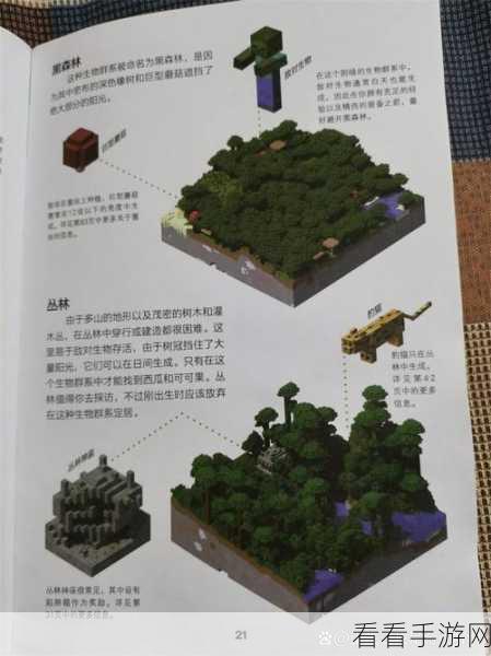 我的世界中国版，生存模式新手攻略与最新更新揭秘