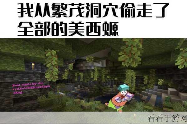 我的世界，神秘美西螈的深度探秘指南