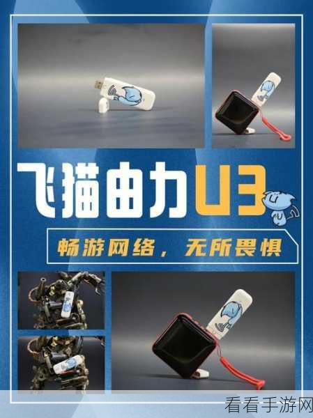 飞猫盘创建文件夹秘籍，轻松上手无压力