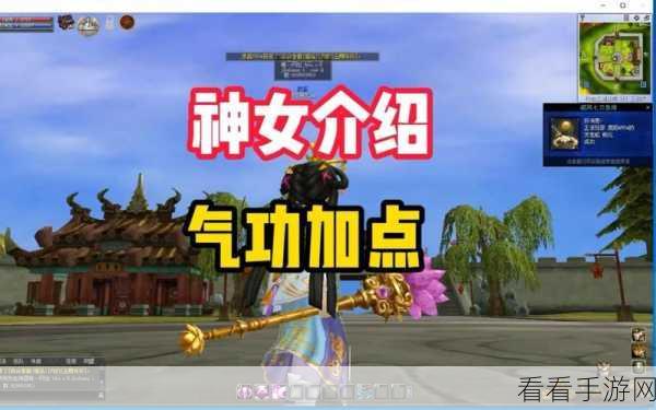 热血江湖神女一转攻略，精准定位与最优抉择
