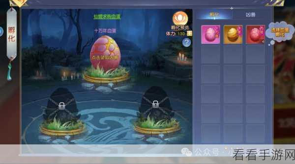 仙灵幻想新手进阶,解锁高难度玩法全攻略