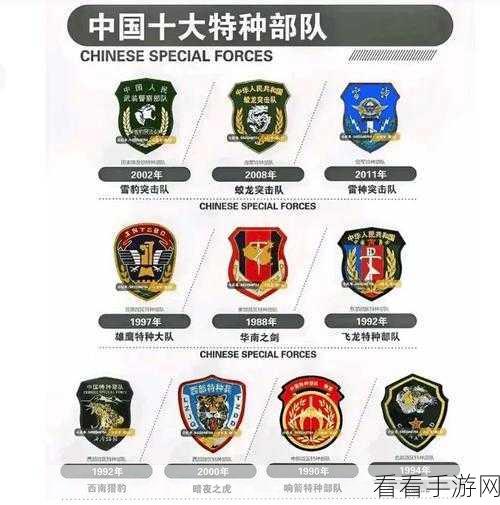 独家揭秘，代号，DF中那些特立独行的战斗单位