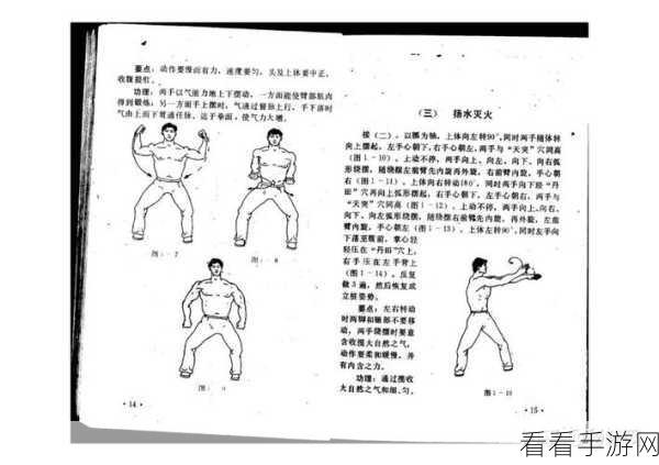 江湖求生，顶尖武功秘籍大揭秘，助你称霸武林！