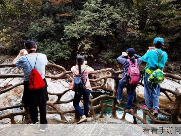 影子峰深度攻略，解锁隐藏关卡与必胜技巧大公开